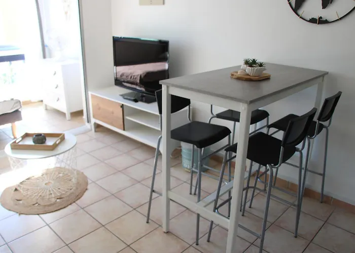 Appartement Les Pieds Dans L'eau Au Cap D'agde Agde